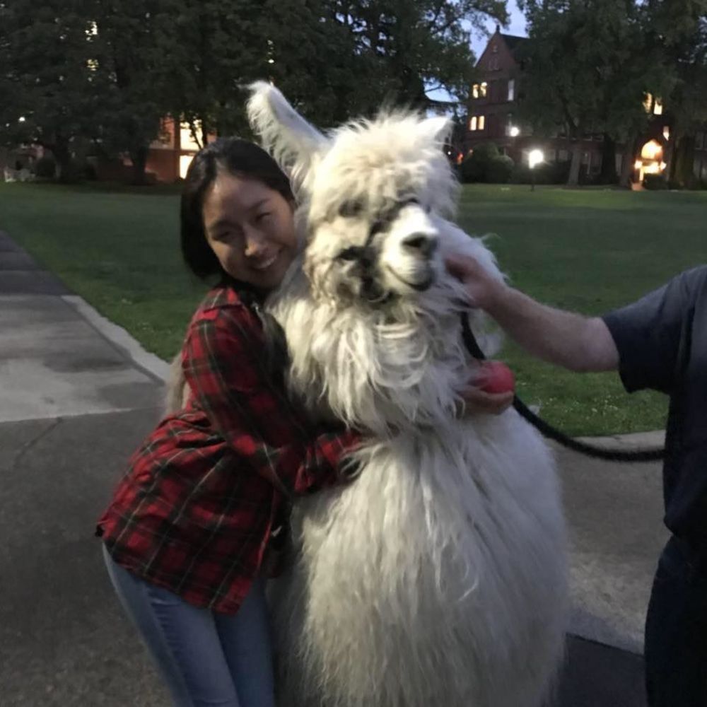 Meet your Posher, Yewon